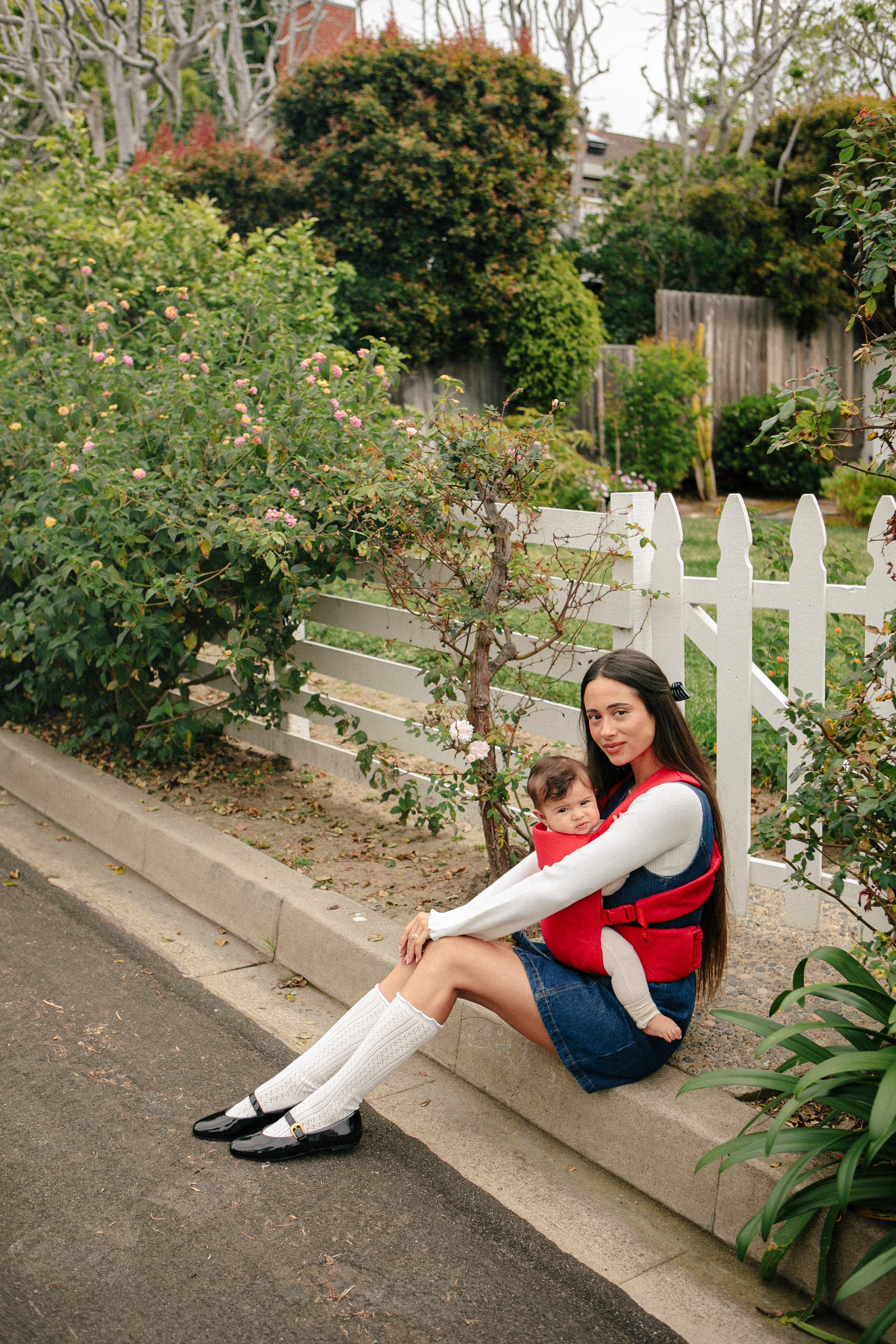 Cherry - Aerial Carrier