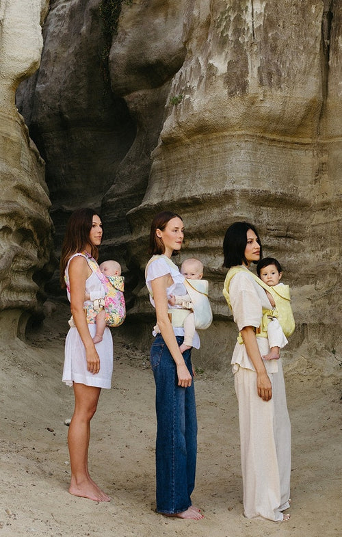 Niltava, Serin, Vivid Collection