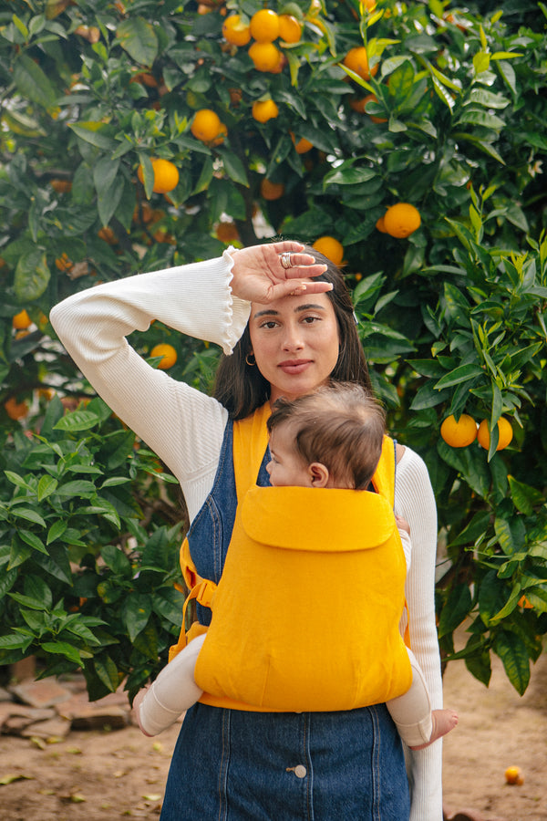 Clementine - Aerial Carrier