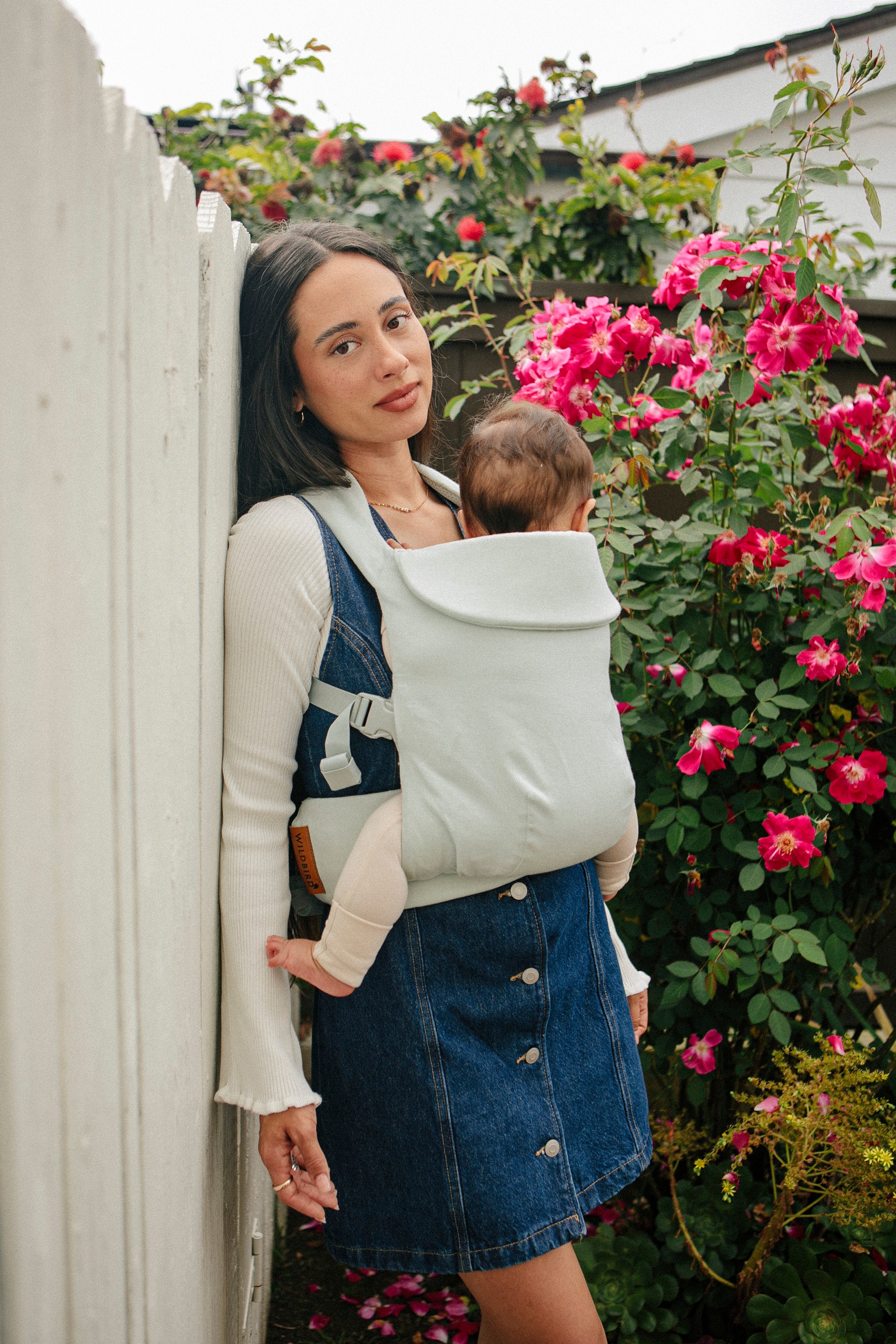 Damson - Aerial Carrier