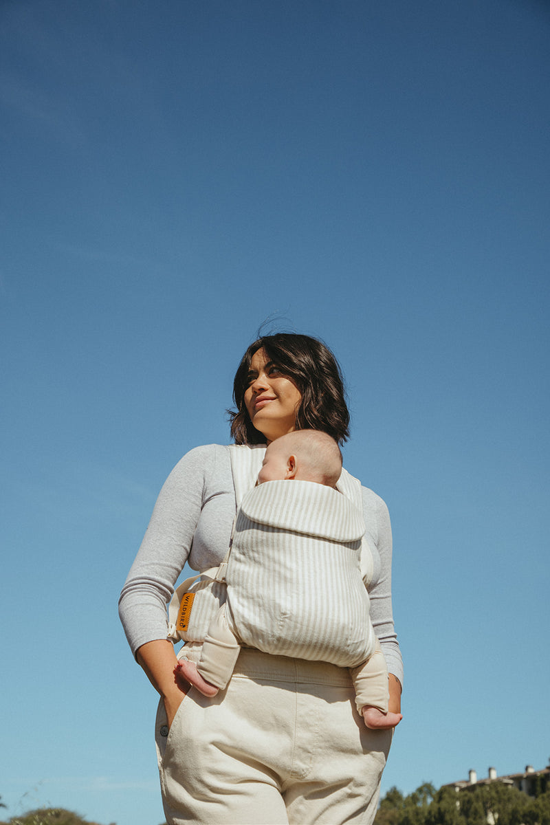 Swan - Aerial Carrier