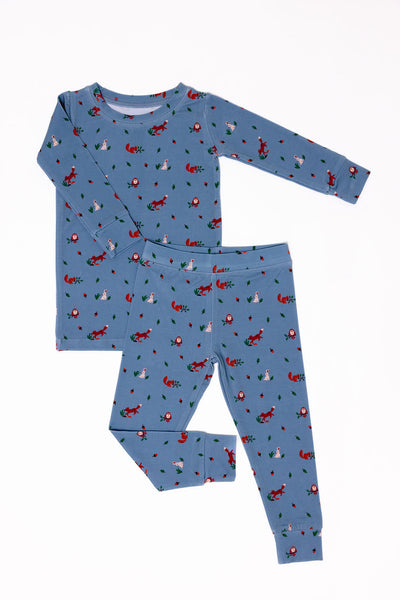 Sylvan CloudBlend™ Long Sleeve Pajamas Set – WildBird