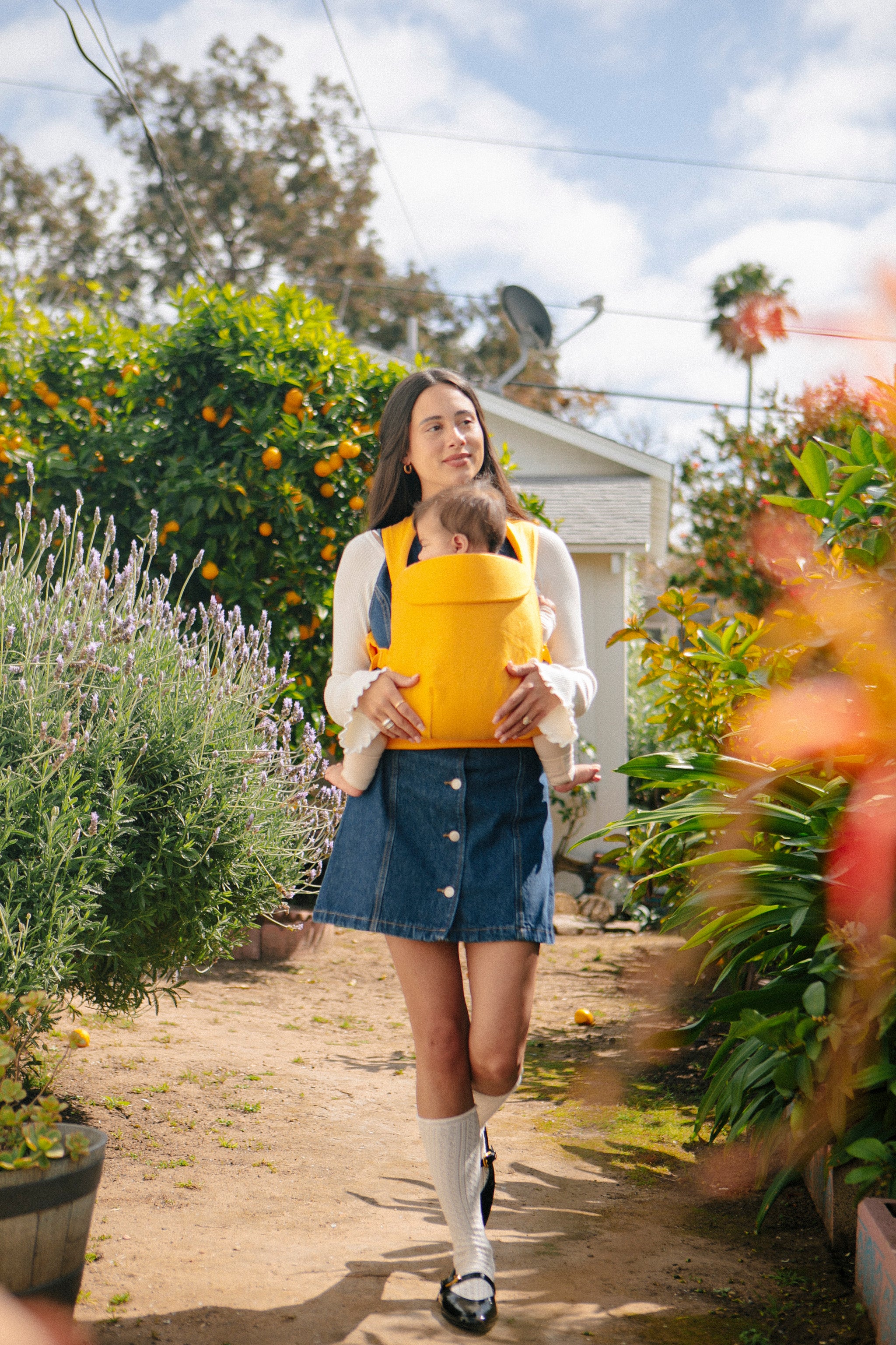 Clementine - Aerial Carrier