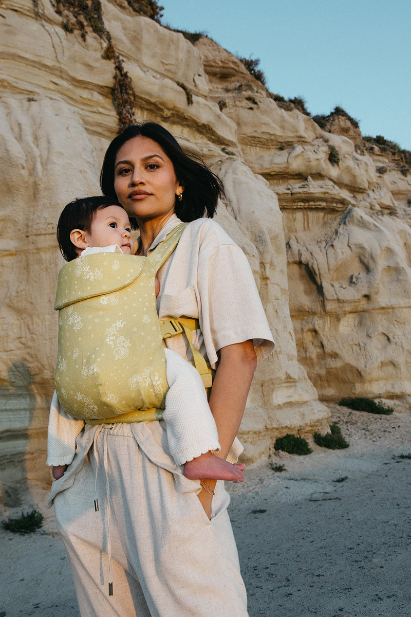 Serin - Aerial Carrier