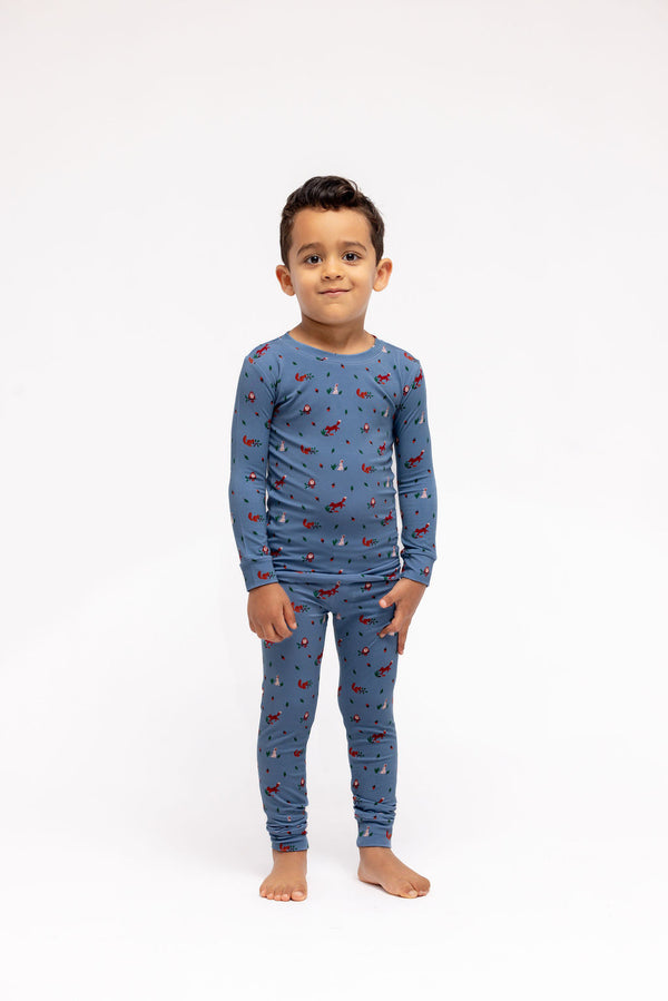Sylvan - CloudBlend™ Long Sleeve Pajamas Set