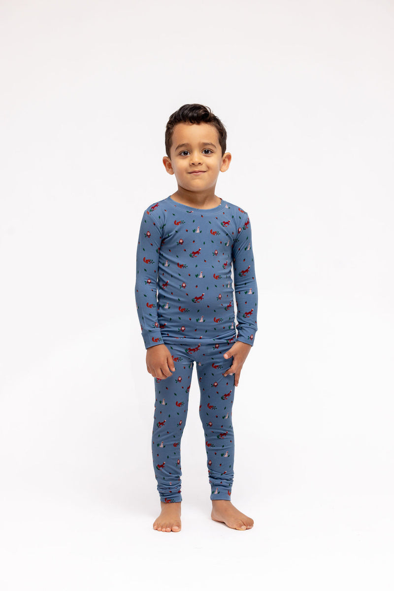 Sylvan - CloudBlend™ Long Sleeve Pajamas Set