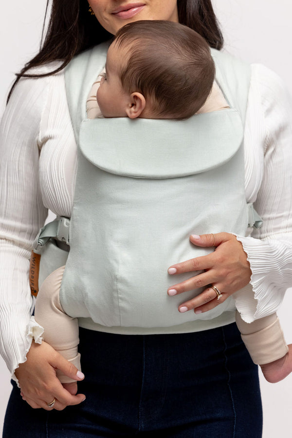 Damson - Aerial Carrier