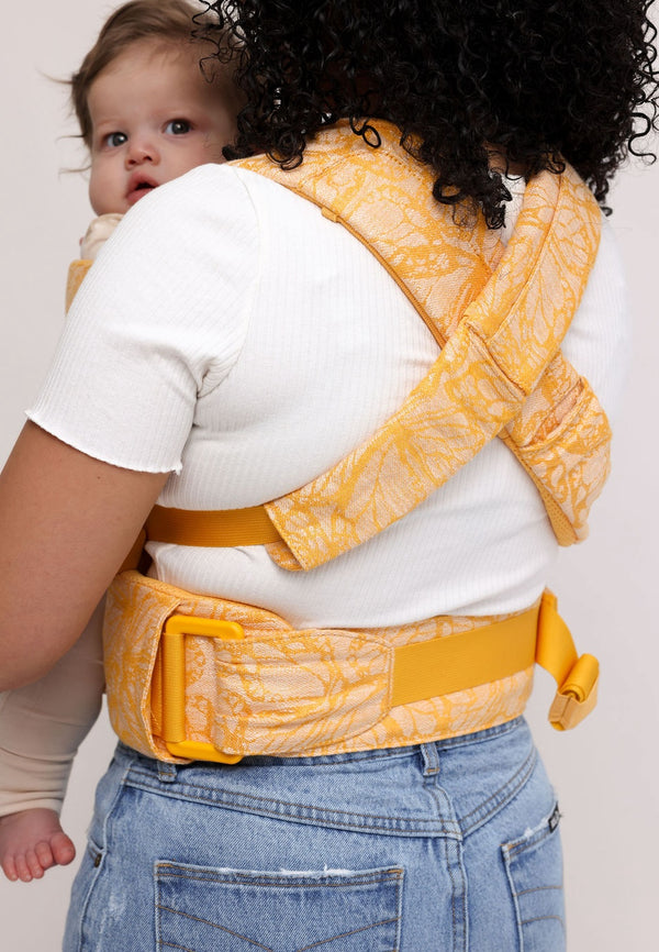 Monarch - Aerial Carrier