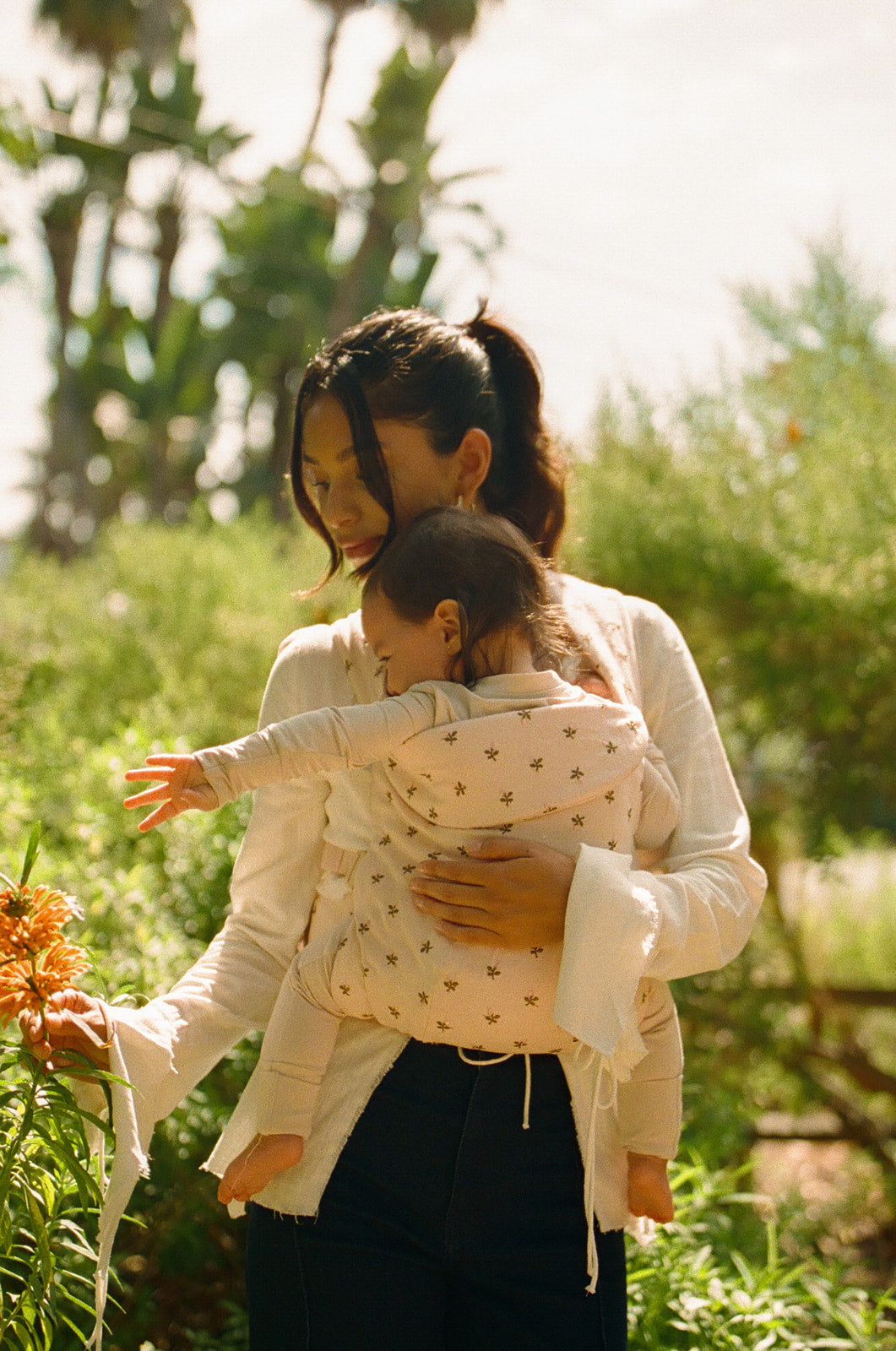 Flores - Aerial Carrier