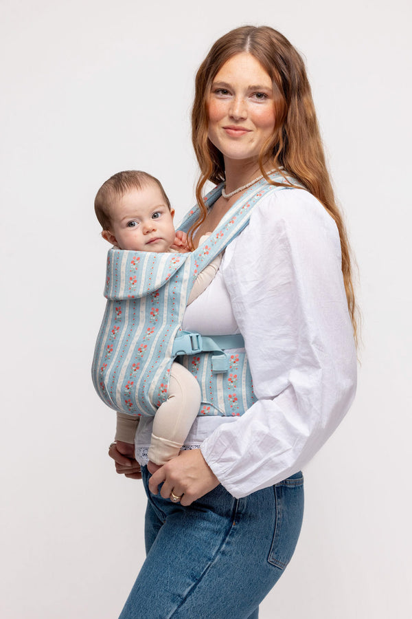 Marianne - Aerial Carrier