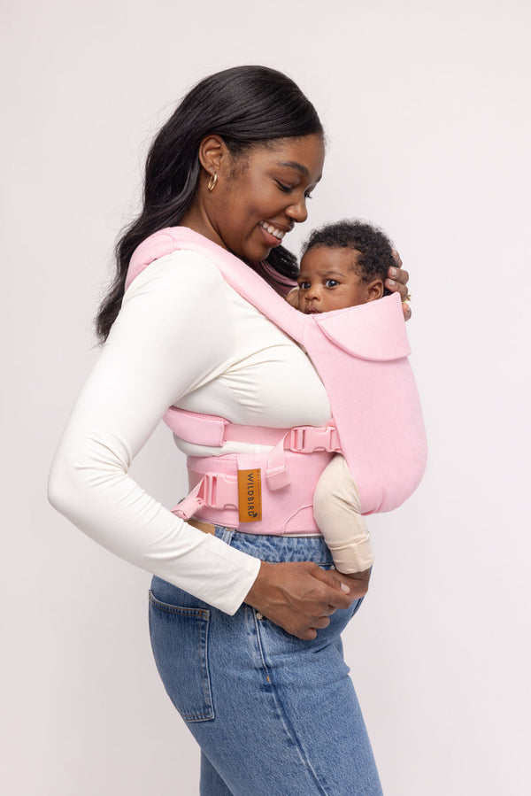 Carmine - Aerial Carrier