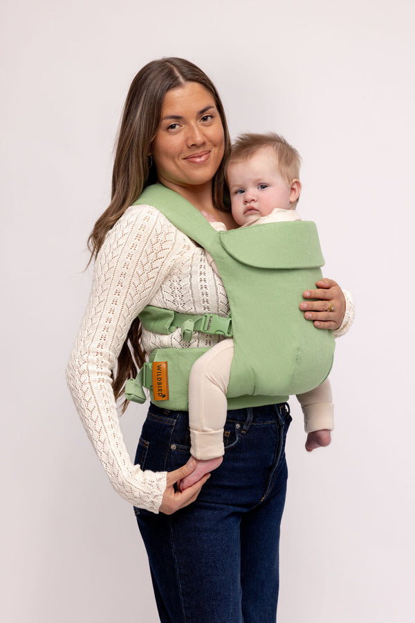 Greenlet - Aerial Carrier