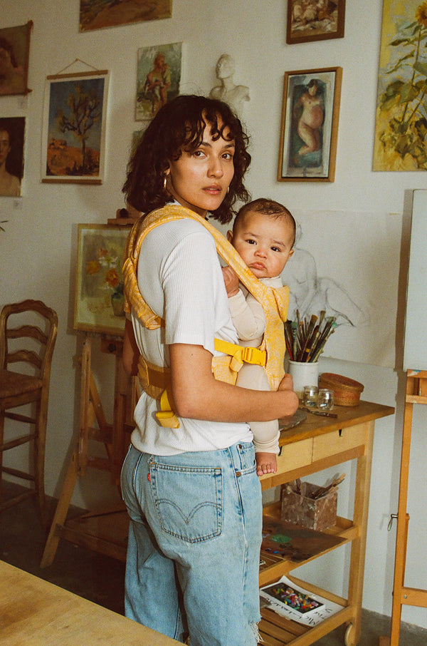 Monarch - Aerial Carrier